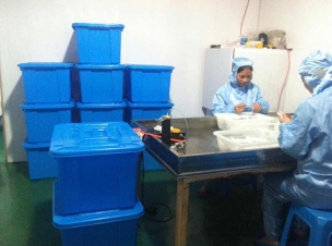 Purification workshop